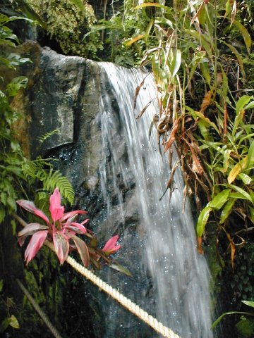 Indoor waterfall